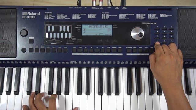 Roland E-X30 | Scale Tune Function смотреть онлайн