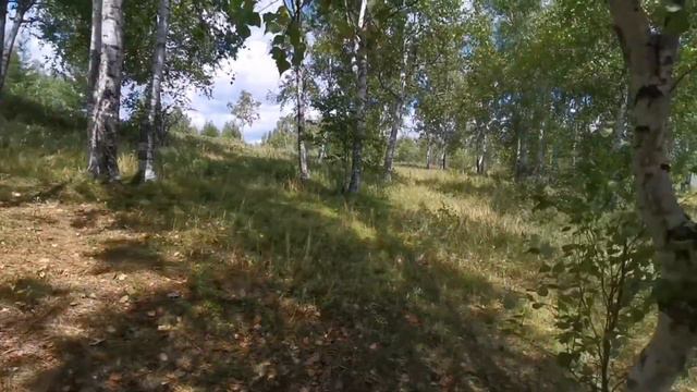 1.08.2023г.р.Ольдой Амурская обл моего детства /билет до детства не достался/Гретта купается. смотреть онлайн