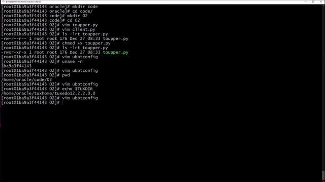 Modernizing Oracle Tuxedo Applications with Python | 2. Building Your First Tuxedo Application смотреть онлайн