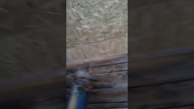 Строим Сами