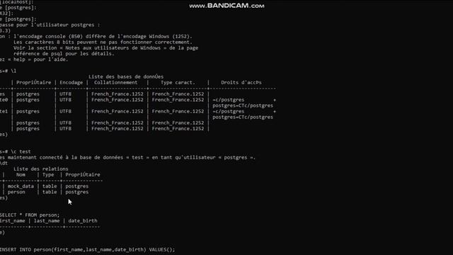 PostgreSQL Tutorial : Insert Data смотреть онлайн