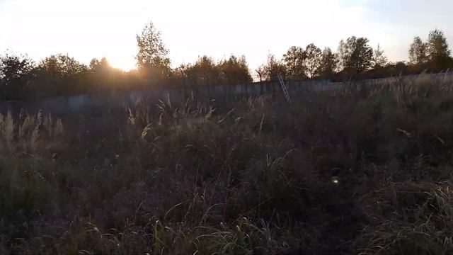 08.10.22. #вечернийвечер. Ярочка переехала в новый вольер