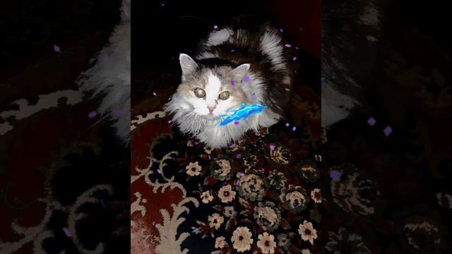 музыкальный трек 17 смотреть онлайн