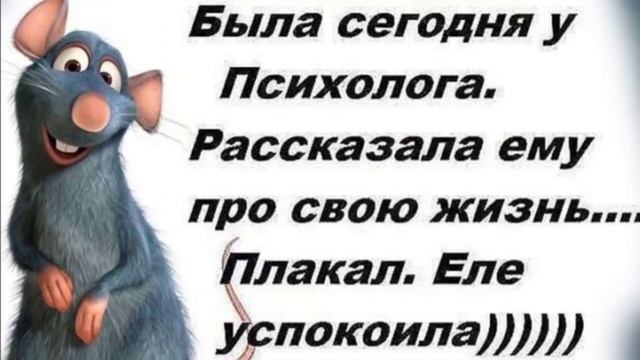 ? Женские смешные цитаты, шутки, приколы. смотреть онлайн