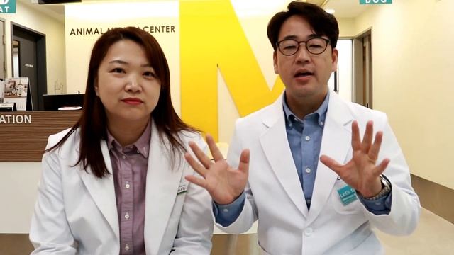 똥 먹는 강아지(식분증) [M동물병원(이나영&정병성 수의사) - 펫칼리지 смотреть онлайн