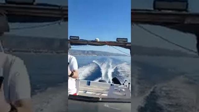 YAMAHA 40/60 4 TEMPI EFI смотреть онлайн