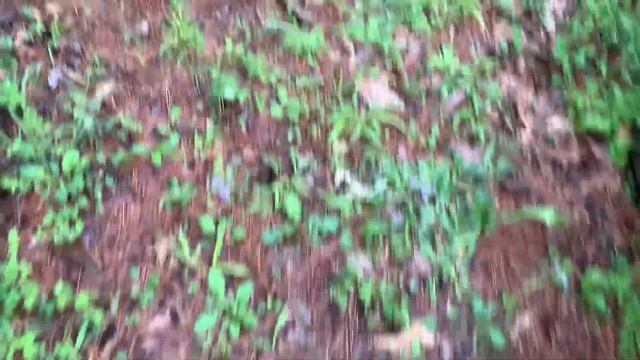 New Toy! ! ! 1991 Acura Integra LS Special Edition смотреть онлайн