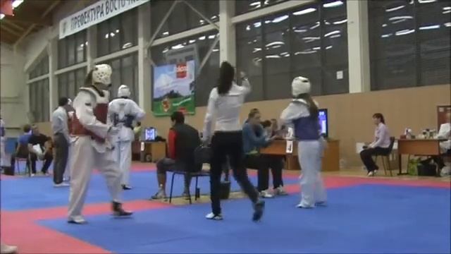 Taekwondo WTF. Турнир клуба Беркут. 03.11.2013 Лёвина-Должикова смотреть онлайн