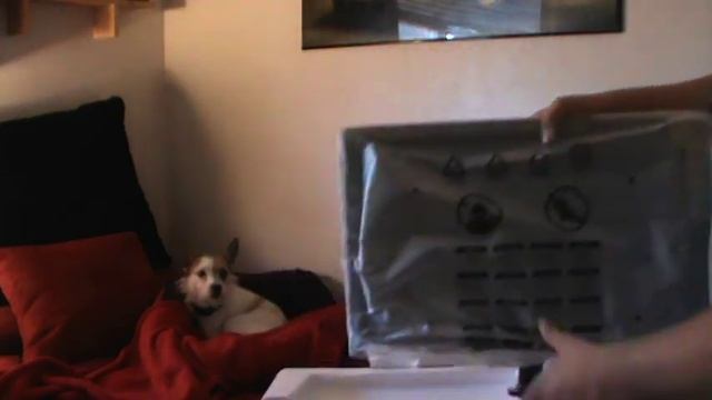 Unboxing: ASUS VS208 20" LED Monitor смотреть онлайн