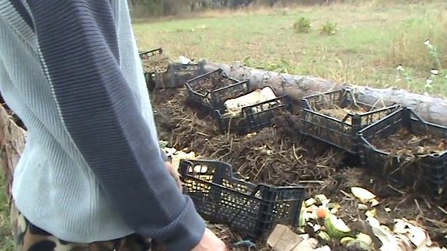 червь старатель смотреть онлайн