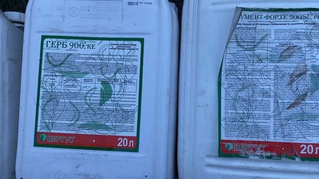 Как вывести навсегда траву ПРЕЙ гербицидами добавляем 25г селитры на 10л воды в междурядье клубники смотреть онлайн