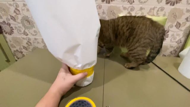 детки ПАПЕ меняться цветами ПОМОГАЮТ смотреть онлайн