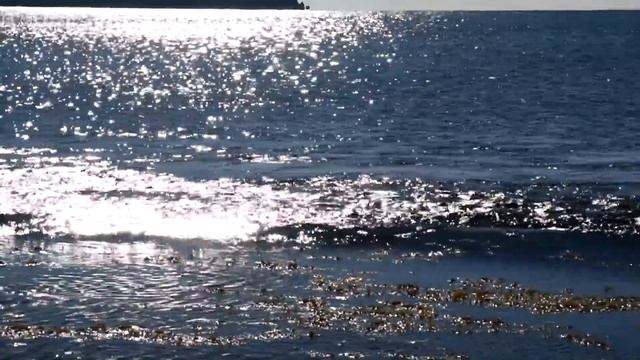 Погода в конце сентября в Судаке (27.09.2018) смотреть онлайн
