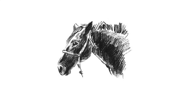 «Под присмотром орла» Графико-поэтический коллаж Вероники Шелленберг смотреть онлайн