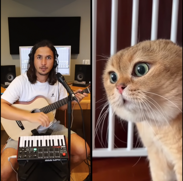 The Kiffness  - Погладь мою шерстку (Песня говорящего кота)