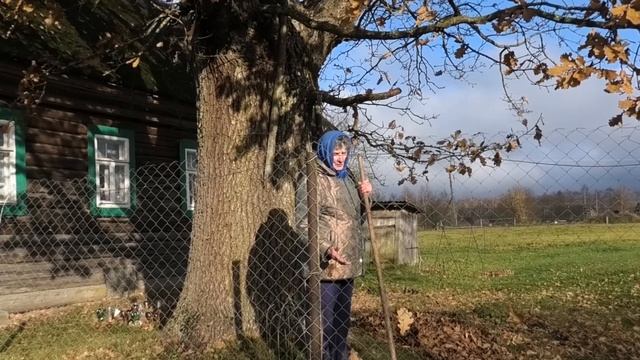 Отдельная вырезка про д. Москва в Тверской области. Одноимённый антипод столицы смотреть онлайн