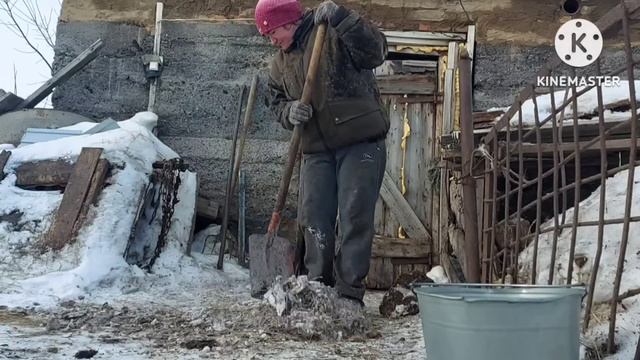 Жизнь в селе#Казахстан#Орлик идёт на поправку.Корова захромала.