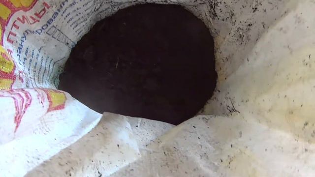 Спасение от жары дождевых червей в подвале 03.07.2017. 1 смотреть онлайн