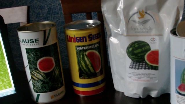 Самые урожайные семена арбузов. Какие гибриды арбузов садить. смотреть онлайн