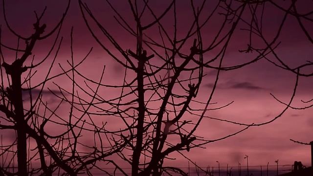 Prawie cały zachód słońca - timelapse - FZ-38 смотреть онлайн