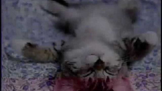 LAS MEJORES POSTURAS EN LA CAMA.wmv смотреть онлайн