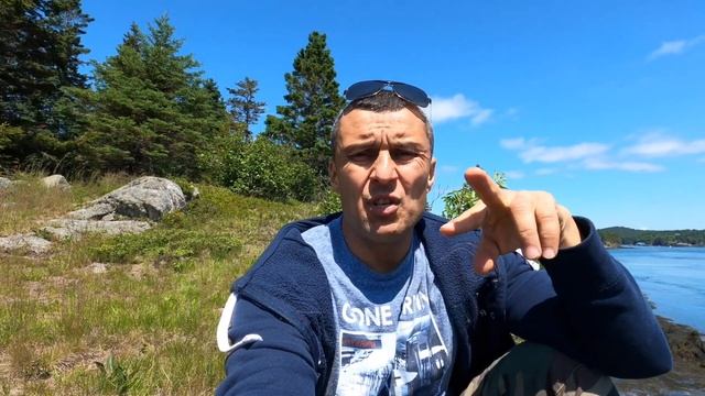 Deer Island Дир-Айленд - один из Фанди-Айленд в заливе Фанди , Канада (English Subtitles) смотреть онлайн