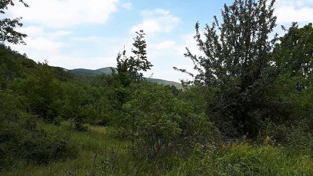 Крым. Поляна привал. 26.07.2020 г. смотреть онлайн