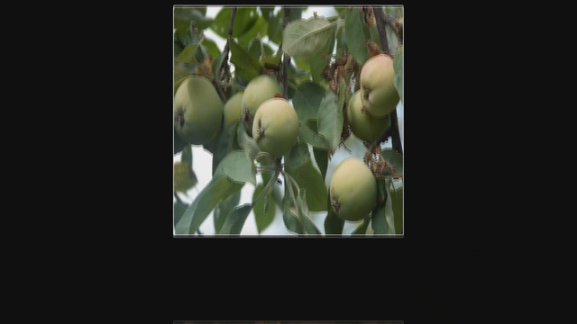 Осени волшебные дары смотреть онлайн