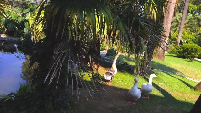 Arenzano Italy Part 1 смотреть онлайн