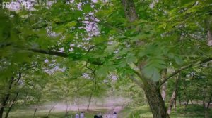 Судьба белой змеи 1 сезон 5 серия