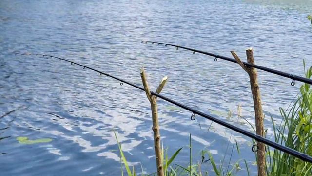 Рыбалка на Луге без рыбы смотреть онлайн