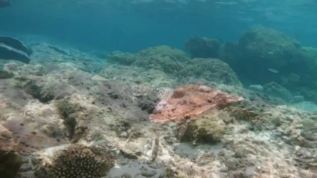 Oleg Byonic - Follow Me (Byona Mix)