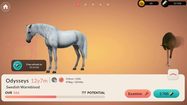 EQUESTRIAN THE GAME ⭐ 10K Horse Trailer Spend! ⭐ What breeds/Coats/Good Horses? смотреть онлайн