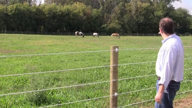 RAMM Flex Fence Coated Wire – Raceline & Shockline Combination Fence System in Swanton, OH смотреть онлайн