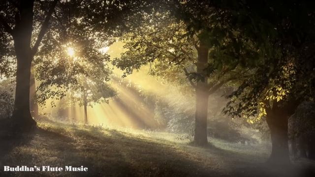 Buddha's Flute: Bansuri Dream | Music for Meditation & Zen смотреть онлайн