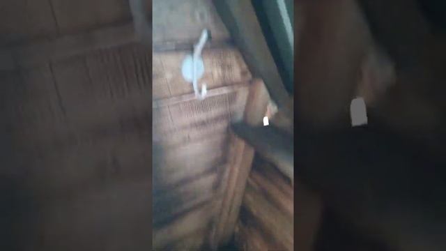 Чем заняться на карантине, дачный туалет своими руками не дорого.