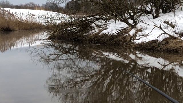 Сломалась удочка, искупался... КАРАСЬ весной на ХЕРабуну! смотреть онлайн