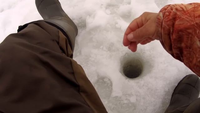 Рыбалка 18 февраля 2022 на реке. новые места! смотреть онлайн