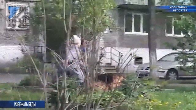 Объясняйте детям правила поведения с животными смотреть онлайн