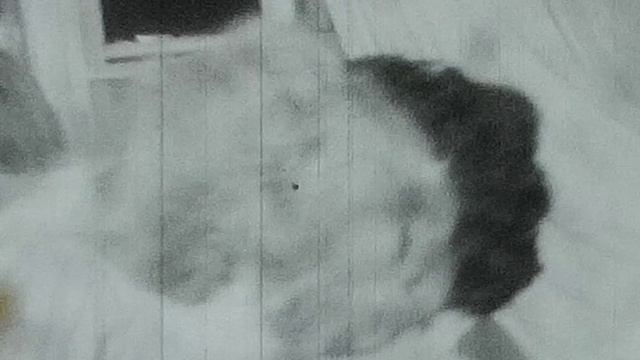 0024.MP4 смотреть онлайн