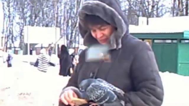 Покормите птиц зимой смотреть онлайн