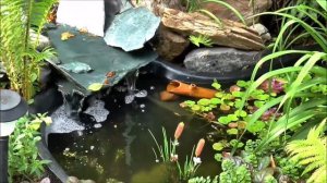 Franz Joseph Haydn Andante with variations in Fm, Hob  XVII 6