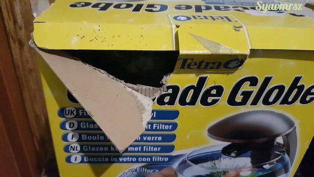 #Кошка ужас,привидение! ghost cat смотреть онлайн