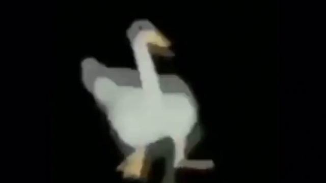 Dancing duck/goose (meme) смотреть онлайн