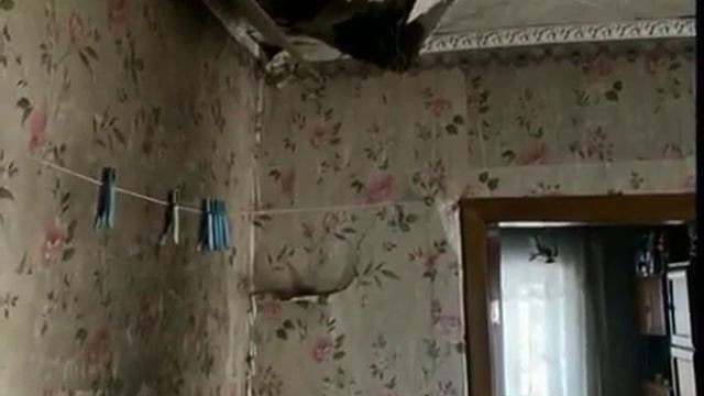 пожежі житловий сектор Миронівська МТГ смотреть онлайн