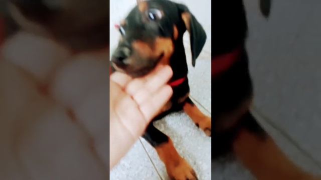 December 31, 2023 смотреть онлайн