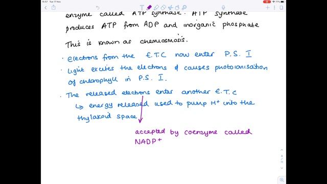 Photosynthesis | Edexcel A & B | A Level Biology | Science with Hazel смотреть онлайн