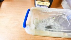 Проще уже некуда!!!Химическая чистка латунных гильз.Шуманит.