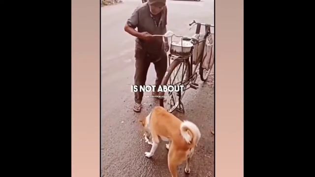 No Reach is not about bank balance смотреть онлайн