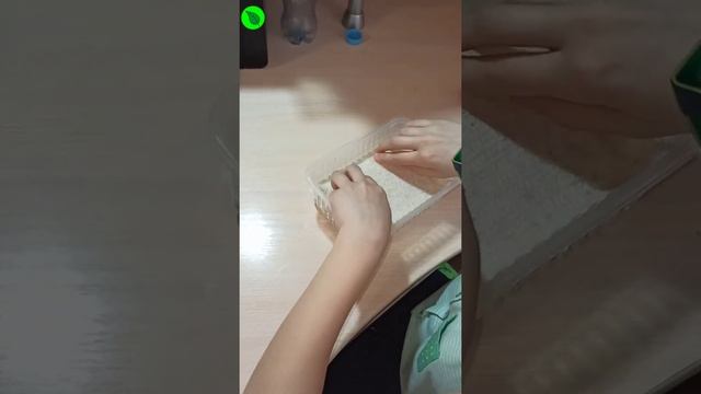 Выращивание микрозелени клевера в домашних условиях. смотреть онлайн